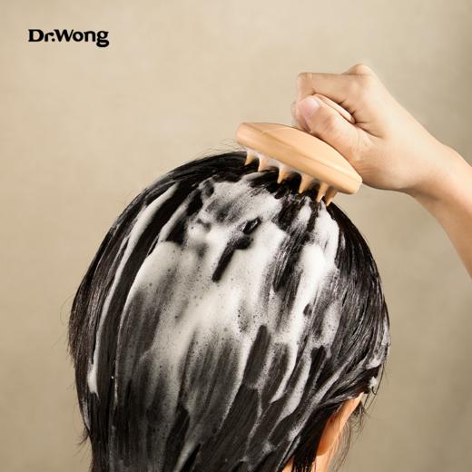 清洁按摩梳 商品图3