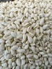 盐焗开心果一斤 商品缩略图0