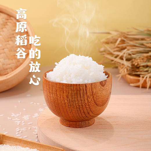 哈尼坝达大米 5kg 商品图2