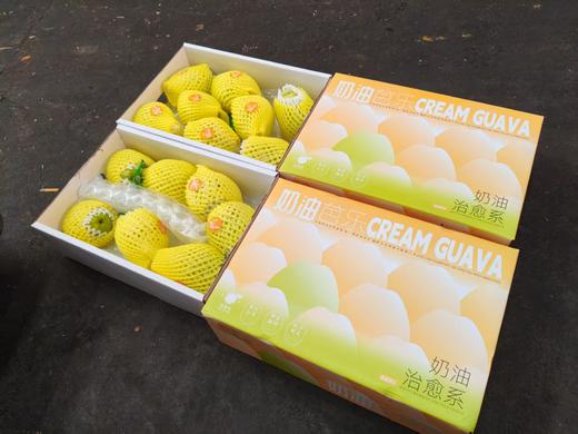 奶油芭乐 奶油芭乐外脆里嫩，带有淡淡的清香，绵密软糯香甜，质地细腻，宛如冰淇淋般丝滑细腻，同时又有糯 商品图2