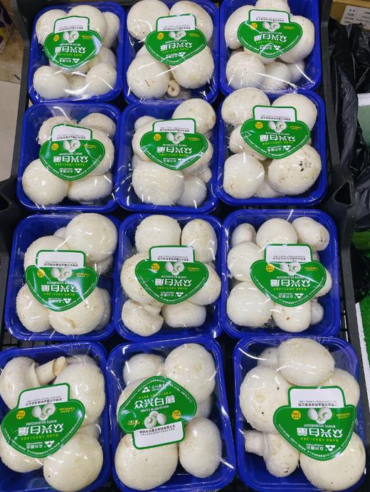 口蘑2盒 商品图0