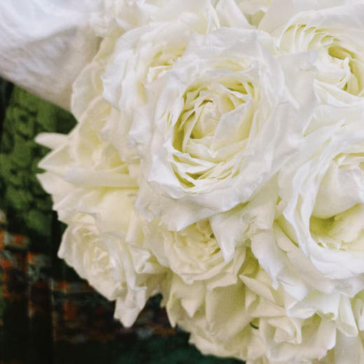 【俊发社区物业中心自提商品】【坦尼克单头玫瑰】 鲜花20枝 「经典雪山系列·洁白无瑕」 商品图4