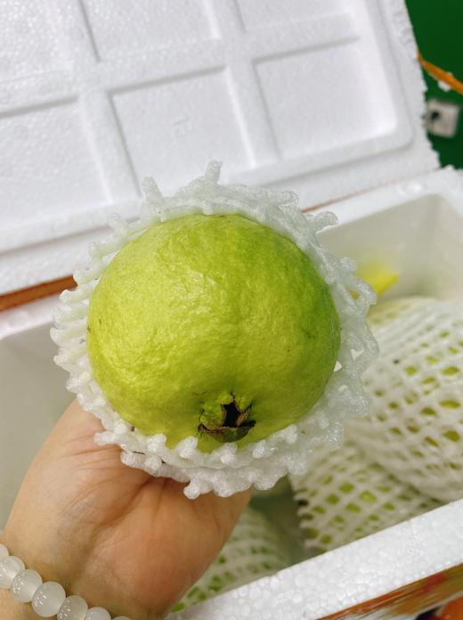 鲜果维奶油芭乐一箱 商品图2