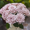 【俊发社区物业中心自提商品】【曼塔单头玫瑰】鲜花20枝 「低饱和莫兰迪色·高级灰粉感」 商品缩略图0