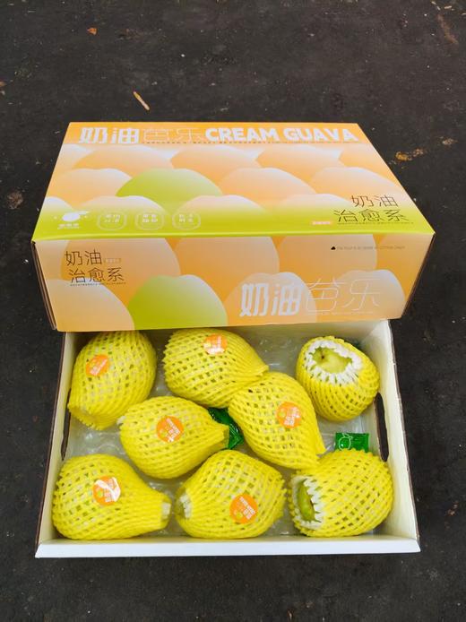 奶油芭乐 奶油芭乐外脆里嫩，带有淡淡的清香，绵密软糯香甜，质地细腻，宛如冰淇淋般丝滑细腻，同时又有糯 商品图6