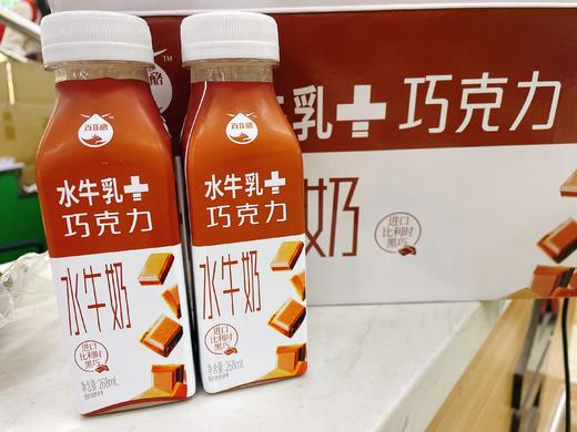 百菲洛巧克力水牛奶一箱 商品图0