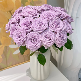 【俊发社区物业中心自提商品】【海洋之歌单头玫瑰】 鲜花20枝「梦幻香芋紫·仙女必备」