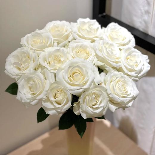 【俊发社区物业中心自提商品】【骄傲单头玫瑰】鲜花20枝「纯净纯白色·高雅单头款」 商品图2