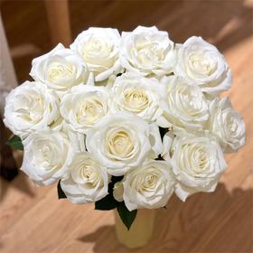 【俊发社区物业中心自提商品】【骄傲单头玫瑰】鲜花20枝「纯净纯白色·高雅单头款」
