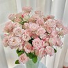 【俊发社区物业中心自提商品】【折射多头玫瑰】鲜花10枝「粉白渐变·折射珠光感」 商品缩略图0