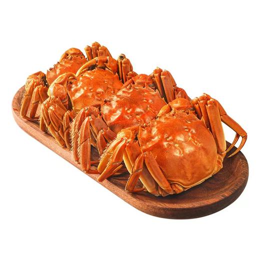 大闸蟹-10只礼品装 商品图2