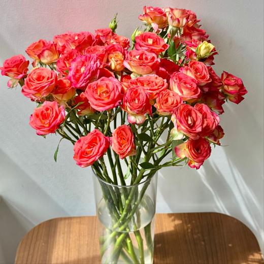 【俊发社区物业中心自提商品】【爱丽丝多头玫瑰】鲜花10枝 「橙红复色·超值一把爆花」 商品图3