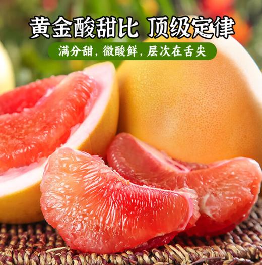 猫山王三红柚 商品图0