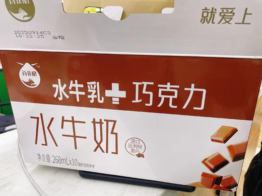 百菲洛巧克力水牛奶一箱 商品图1