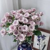 【俊发社区物业中心自提商品】【莱拉多头玫瑰】鲜花10枝「温柔薰衣草紫·浪漫多头款」 商品缩略图0