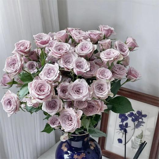 【俊发社区物业中心自提商品】【莱拉多头玫瑰】鲜花10枝「温柔薰衣草紫·浪漫多头款」 商品图0