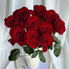 【俊发社区物业中心自提商品】【高原红单头玫瑰】鲜花20枝 「经典暗红色·丝绒质感」 商品缩略图2
