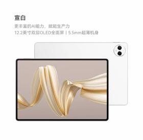 华为 MatePad Pro 12.2寸 12+256G