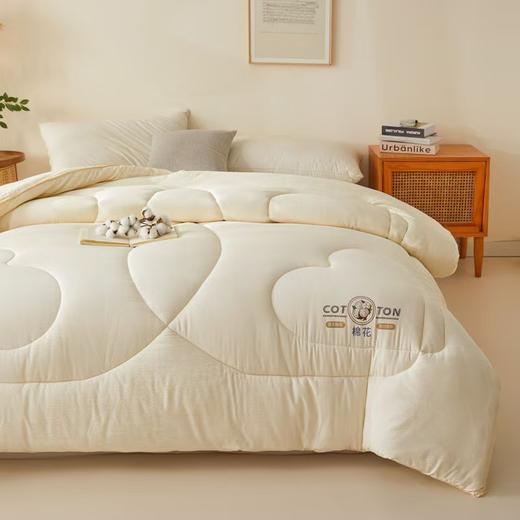 【多样屋专柜】悠梦嘉居YB-15102西域提花棉花被3000克 100%棉花填充 商品图3