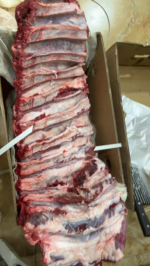 国产牛肋条 500G 商品图2