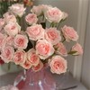 【俊发社区物业中心自提商品】【星悦宝贝多头玫瑰】鲜花10枝「清新粉白色·星点烂漫款」 商品缩略图4