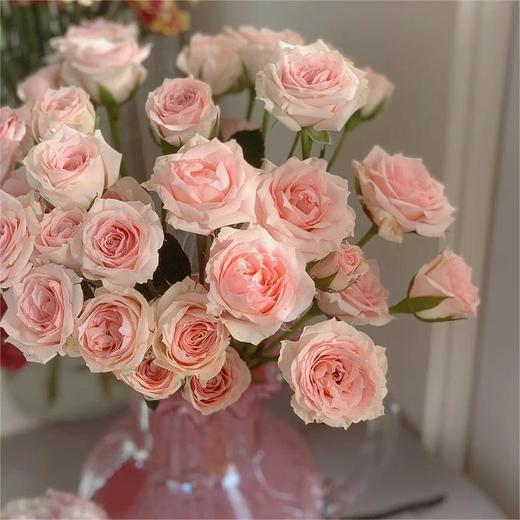 【俊发社区物业中心自提商品】【星悦宝贝多头玫瑰】鲜花10枝「清新粉白色·星点烂漫款」 商品图4