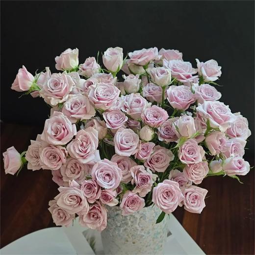 【俊发社区物业中心自提商品】【莱拉多头玫瑰】鲜花10枝「温柔薰衣草紫·浪漫多头款」 商品图4