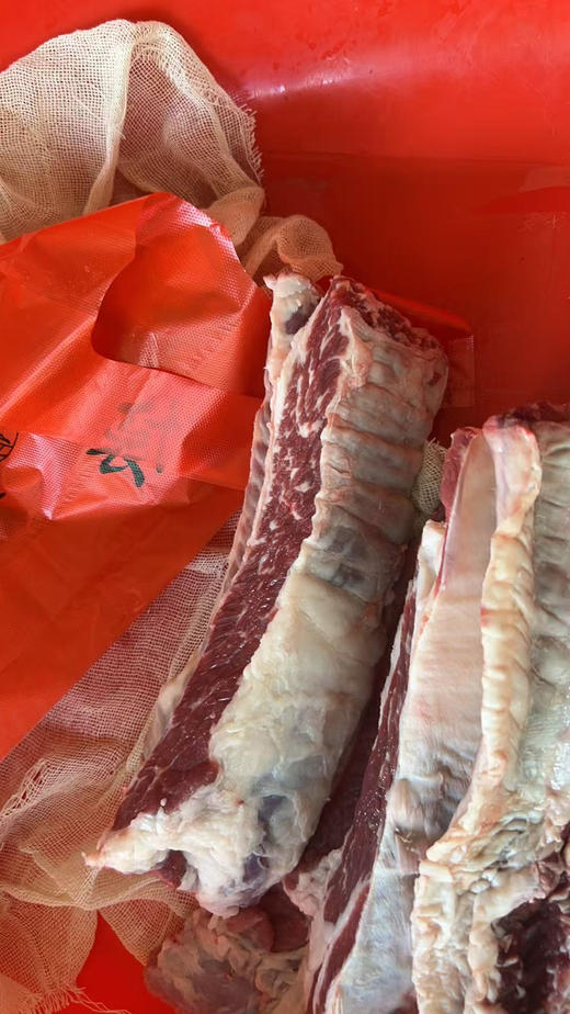 国产牛肋条 500G 商品图1