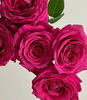 【俊发社区物业中心自提商品】【弗洛伊德单头玫瑰】鲜花20枝 「炽热爱恋·高饱和色」 商品缩略图4
