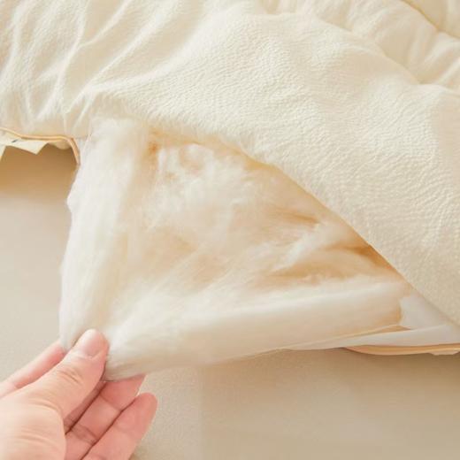 【多样屋专柜】悠梦嘉居YB-15102西域提花棉花被3000克 100%棉花填充 商品图4
