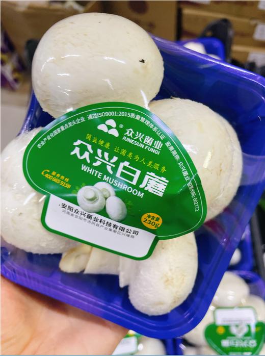 口蘑2盒 商品图1