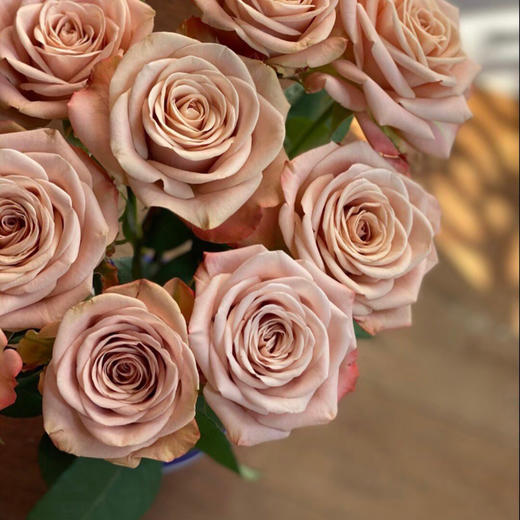 【俊发社区物业中心自提商品】【卡布奇诺单头玫瑰】鲜花20枝「复古裸咖色·高级感拉满」 商品图2