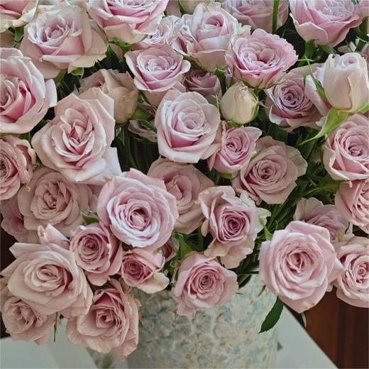 【俊发社区物业中心自提商品】【莱拉多头玫瑰】鲜花10枝「温柔薰衣草紫·浪漫多头款」 商品图2