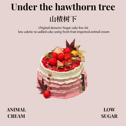 山楂树下 商品图0