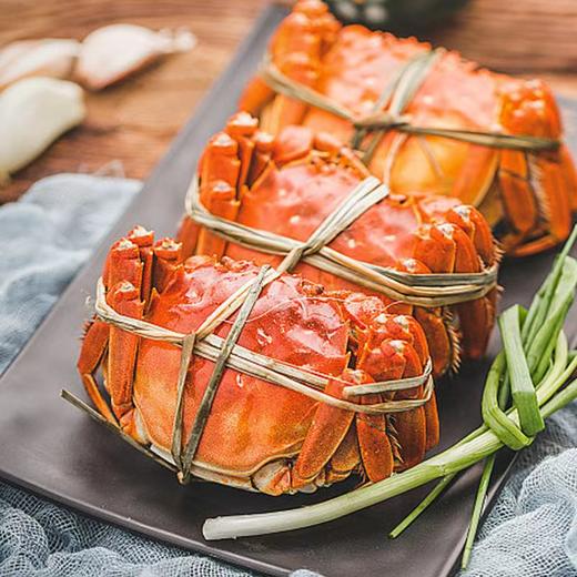 大闸蟹-10只礼品装 商品图1