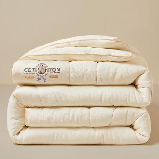 【多样屋专柜】悠梦嘉居YB-15102西域提花棉花被3000克 100%棉花填充 商品图2