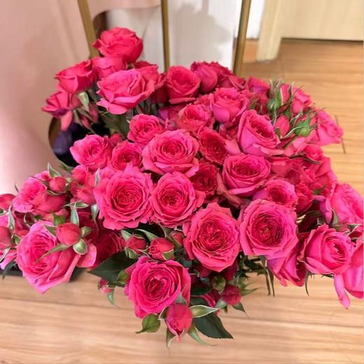 【俊发社区物业中心自提商品】【苏菲宝贝多头玫瑰】鲜花10枝 「桃红色簇拥花瓣·甜美小可爱」 商品图5