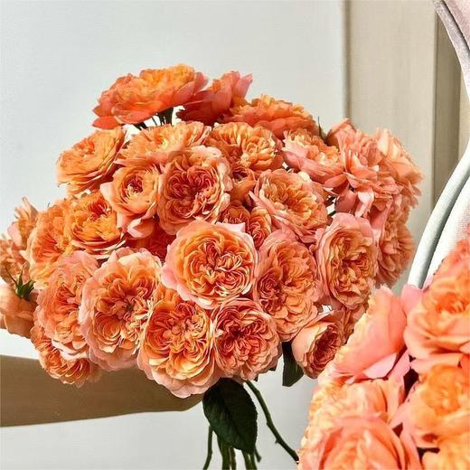 【俊发社区物业中心自提商品】【杏色果汁多头玫瑰】鲜花10枝「温柔杏奶茶色·甜润多头款」 商品图4
