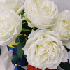 【俊发社区物业中心自提商品】【坦尼克单头玫瑰】 鲜花20枝 「经典雪山系列·洁白无瑕」 商品缩略图0