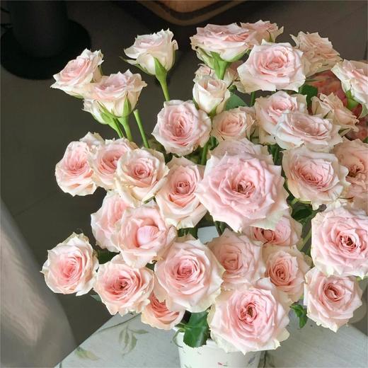 【俊发社区物业中心自提商品】【星悦宝贝多头玫瑰】鲜花10枝「清新粉白色·星点烂漫款」 商品图0