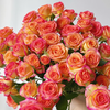 【俊发社区物业中心自提商品】【爱丽丝多头玫瑰】鲜花10枝 「橙红复色·超值一把爆花」 商品缩略图5