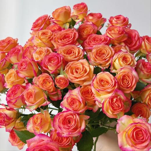 【俊发社区物业中心自提商品】【爱丽丝多头玫瑰】鲜花10枝 「橙红复色·超值一把爆花」 商品图5