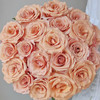 【俊发社区物业中心自提商品】【莫泊玫瑰单头玫瑰】鲜花20枝 「淡雅咖粉色·复古韵味」 商品缩略图4