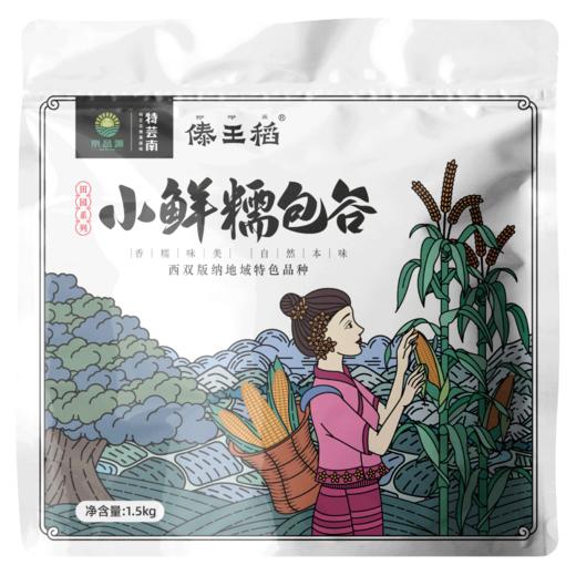 勐海县鲜糯玉米1.5kg 商品图0