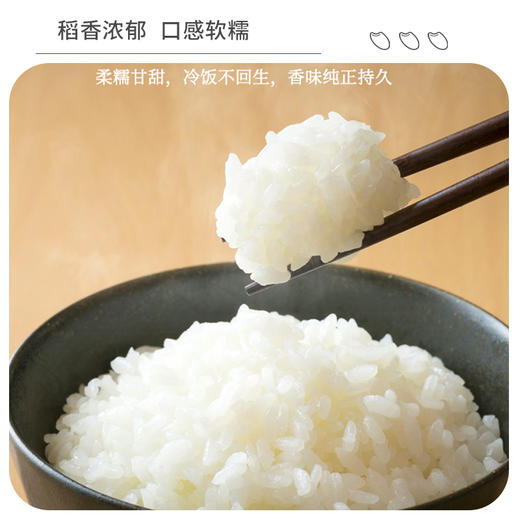 高原羊玉脂米5kg 商品图2