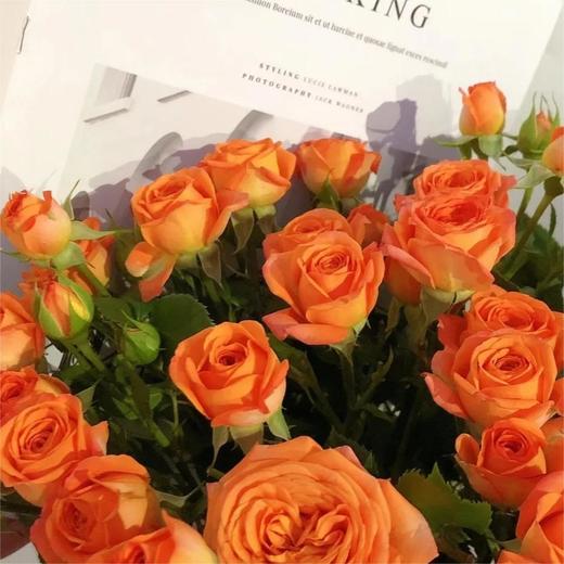 【俊发社区物业中心自提商品】【橙色芭比多头玫瑰】鲜花10枝「活力橙粉色·多头小可爱」 商品图5