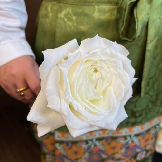 【俊发社区物业中心自提商品】【坦尼克单头玫瑰】 鲜花20枝 「经典雪山系列·洁白无瑕」 商品图5