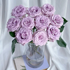 【俊发社区物业中心自提商品】【海洋之歌单头玫瑰】 鲜花20枝「梦幻香芋紫·仙女必备」 商品缩略图2