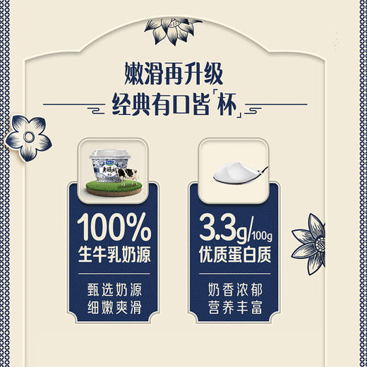 DH 君乐宝原味老酸奶139g*12杯 商品图1