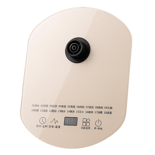 【多样屋专柜】大宇养生壶烧水壶1.8L 商品图9